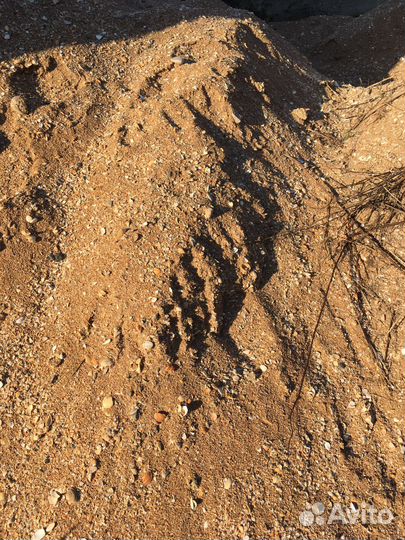 Ракушка кормовая