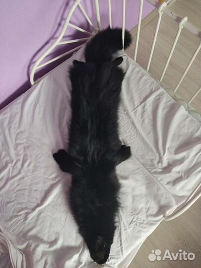 Натуральная шкура Чëрного песца