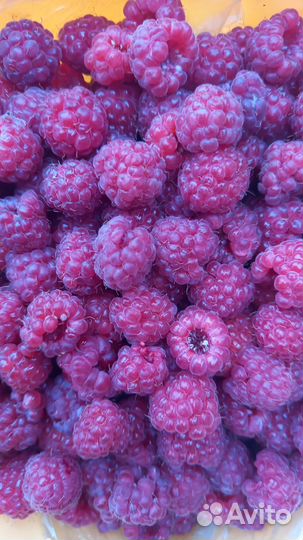 Продам малину или поменяю на абрикос