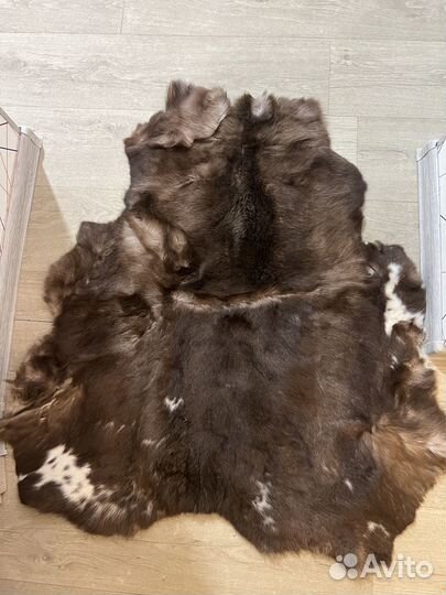 Оленья шкура