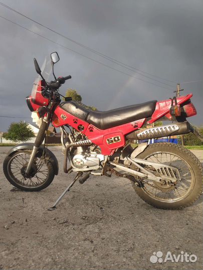 Зид 50 пилот