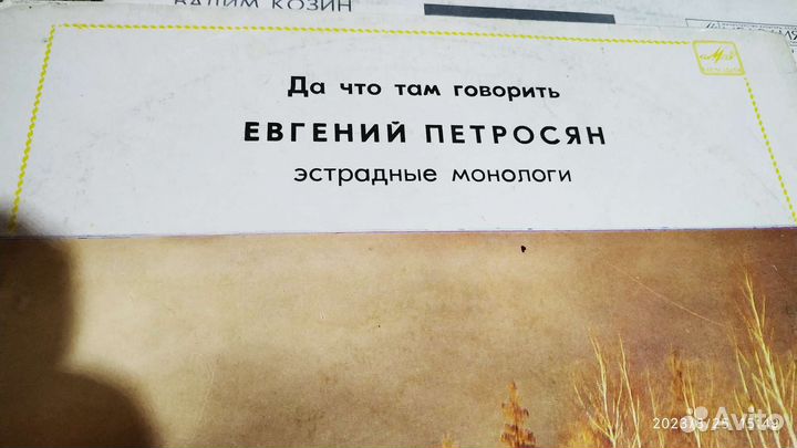 Виниловые пластинки