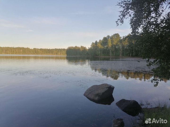 Электрик, электромонтажные работы