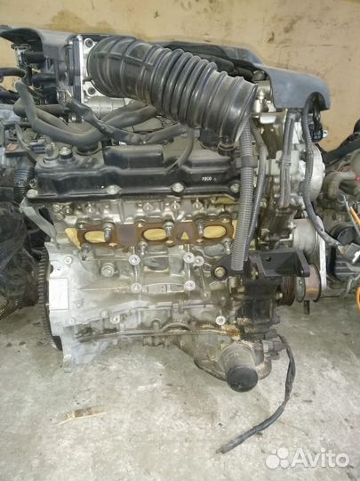 Двигатель nissan VQ 3.5L VQ35DE VQ35DD VQ35HR