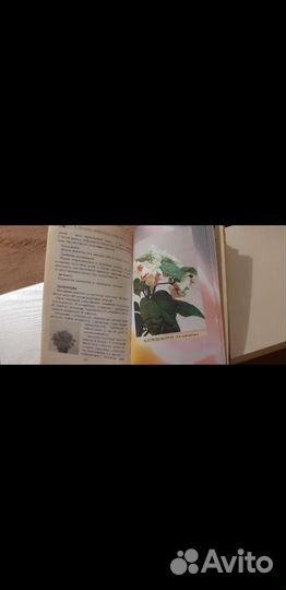 Книга для пчеловодов.комнатные цветы