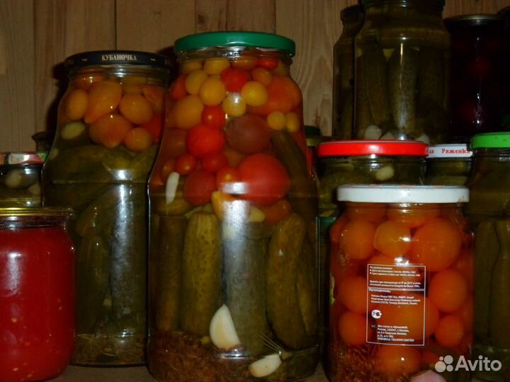 Грибы синяя ножка маринованные, домашние соления