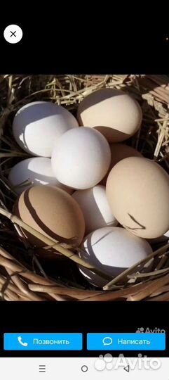 Продукты питания