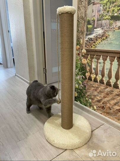 Когтеточка для кошек