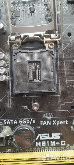 Материнская плата lga 1150 asus h81m-c