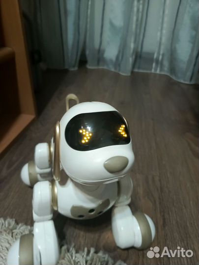 Робо собака танцующая и разговаривающая