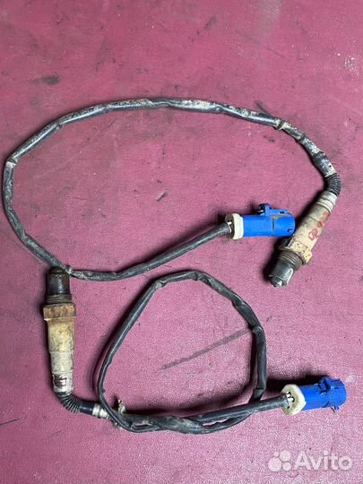 Лямда зонд ford focus 2 нижний