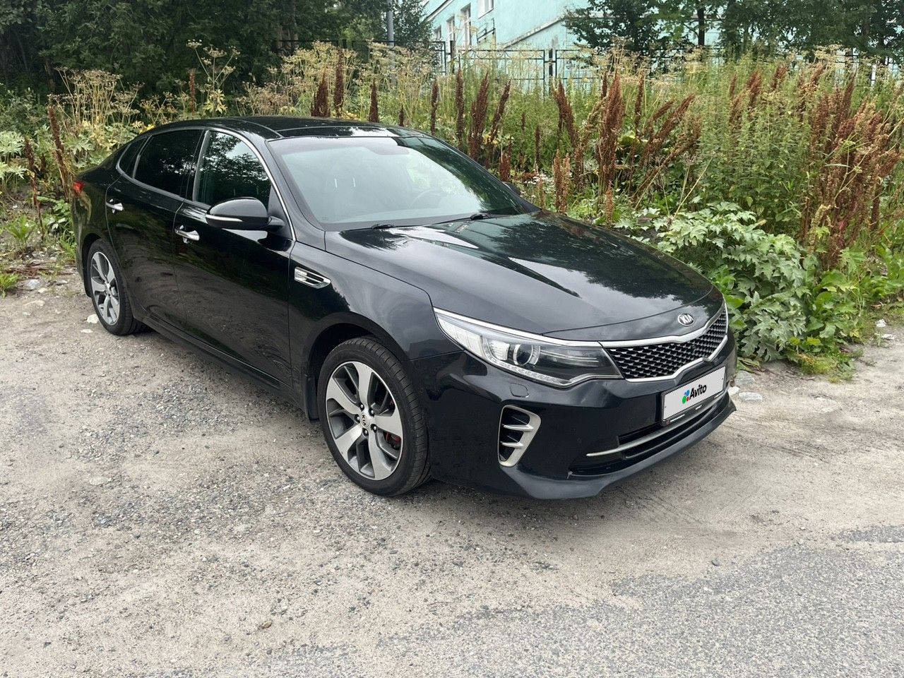 Kia Optima: фото владельца