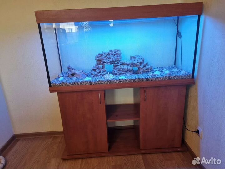 Аквариум
