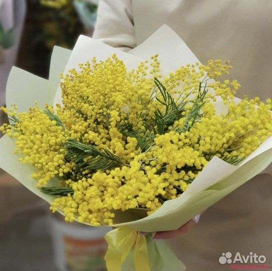 Букеты из мимозы (Арт.14713)