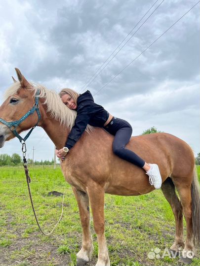 Конные прогулки Орёл