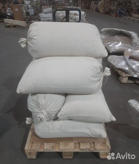 Семена ели от производителя