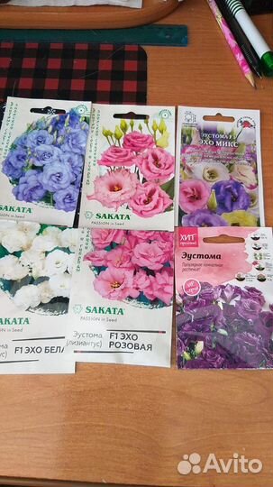 Эустома (лизиантус)