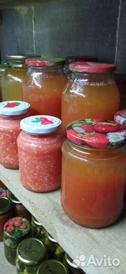 Соленья засолки консервация на зиму