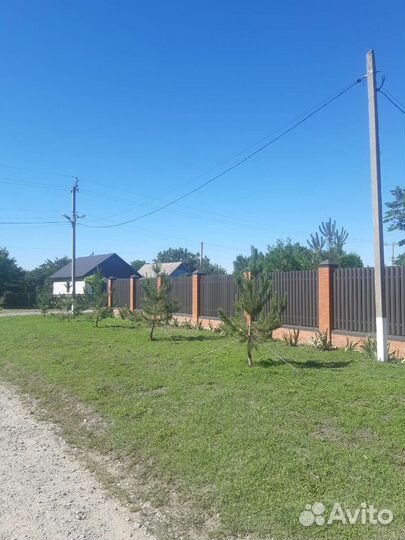 Спил деревьев,любой сложности