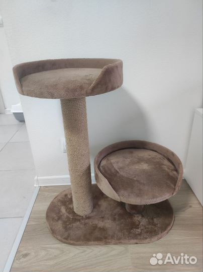 Когтеточка