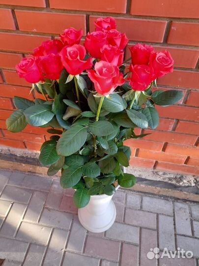 Цветы Розы и букеты