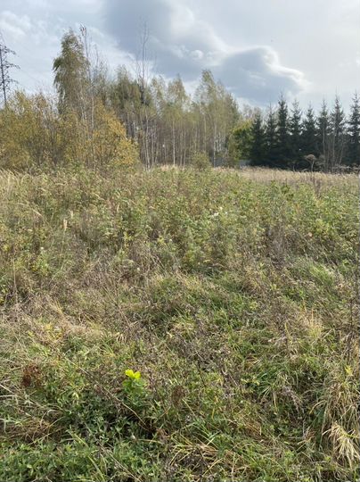 Участок 14 сот. (ИЖС)