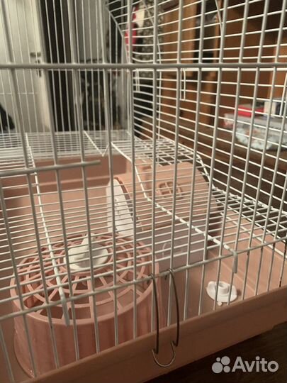 Клетка для грызунов бу