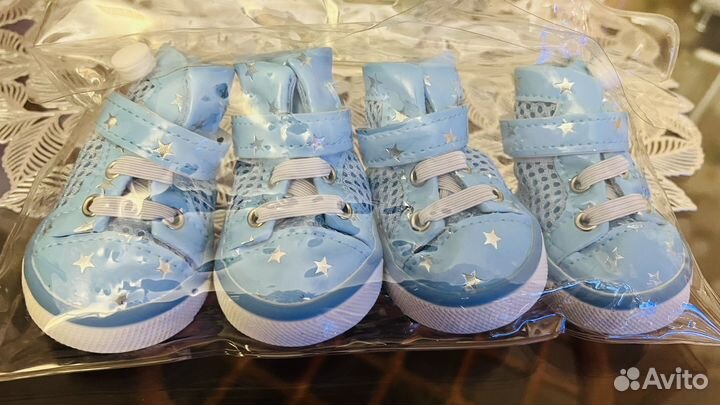 Обувь для собак