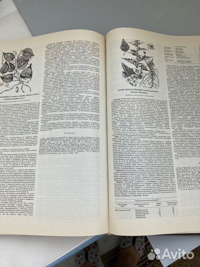 Атлас ареалов и ресурсов лекарственных растений