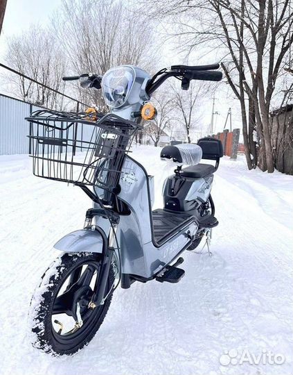 Двухместный электровелосипед оптом