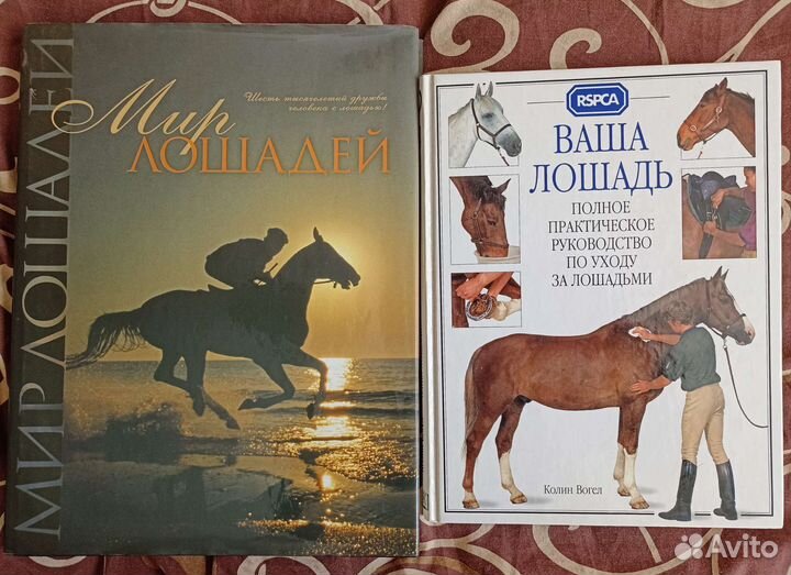 Книги о лошадях. Мир лошадей. Ваша лошадь