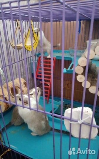 Деревянная Игрушка для грызунов