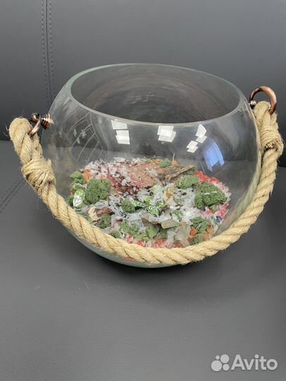 Терарриум-аквариум