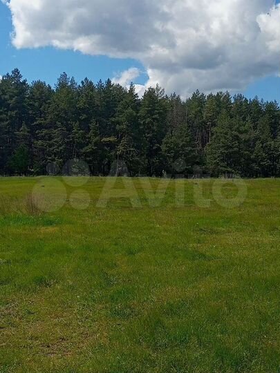 Участок 15 сот. (ИЖС)