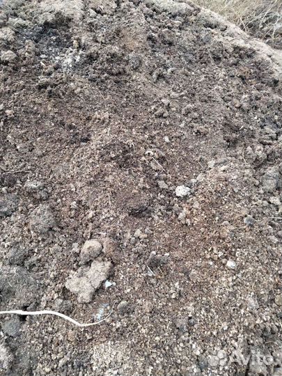 Перепелиный помёт, перегной