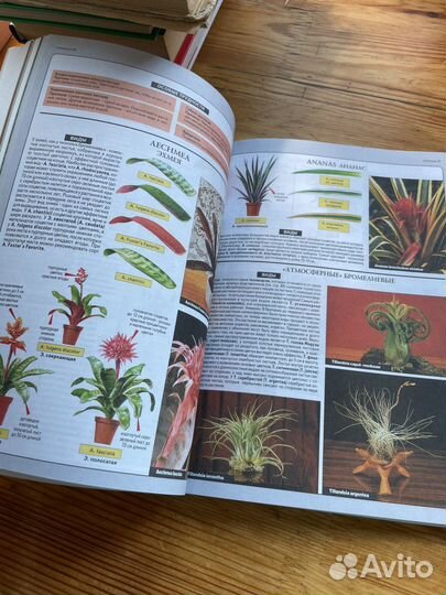 Все о комнатных растениях, книги