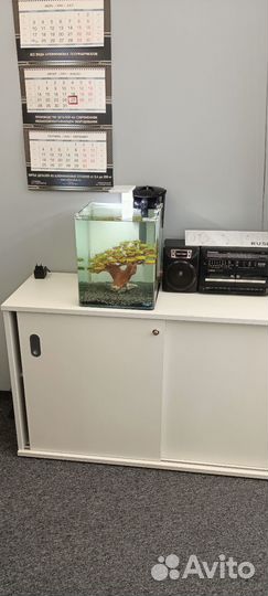 Аквариум под ключ