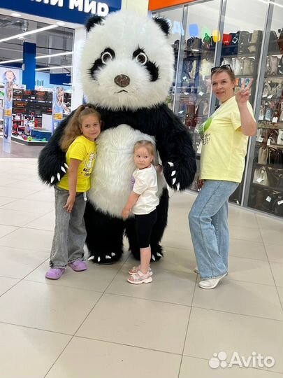 Ростовая кукла Ушастик Мишка Босс поздравление