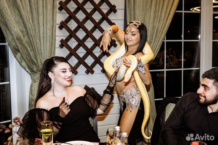 Змея для фотосессии или фото зоны, танец с Питоном