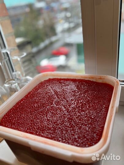 Икра красная кижуча