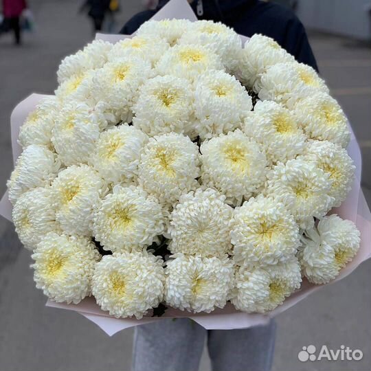 Букет из одноголовой Хризантем Букет Владимир