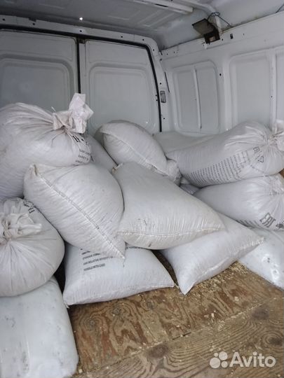 Семечка подсолнечника Семечки на Корм Птицам