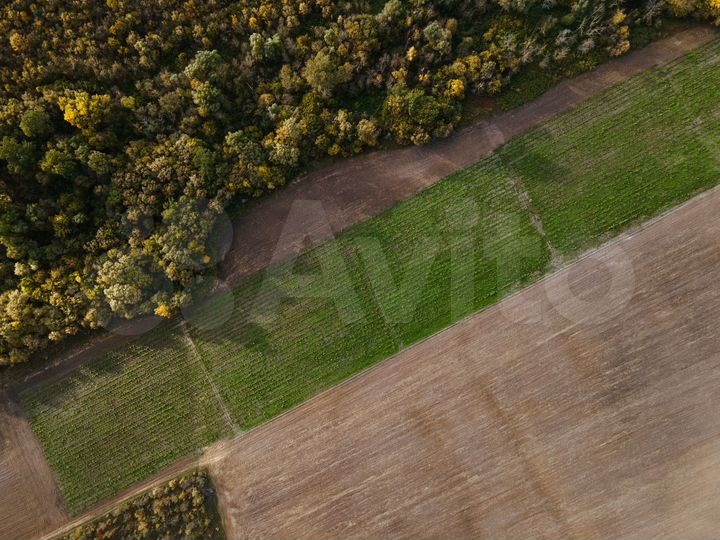 Участок 92 га (СНТ, ДНП)