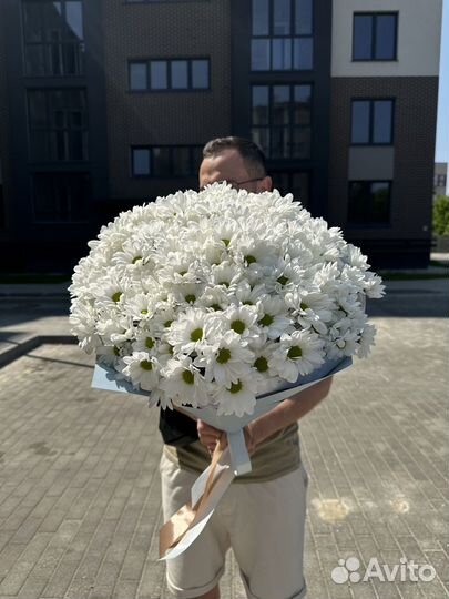 Букет из 21 хризантемы ромашковой. Цветы доставка