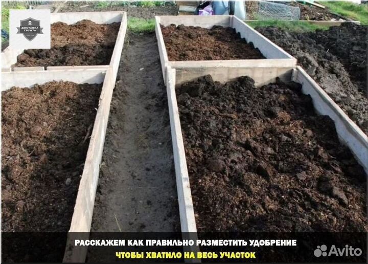 Купить коровий навоз