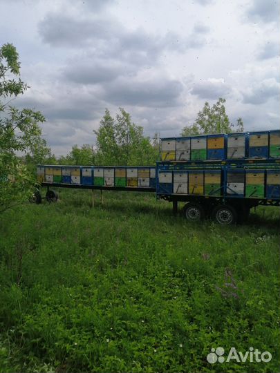 Продам пчелоприцеп