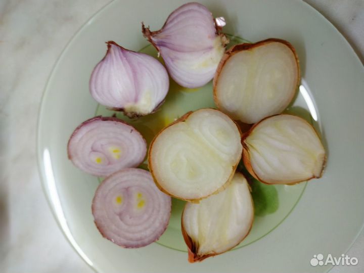 Лук семейный Чапаевский