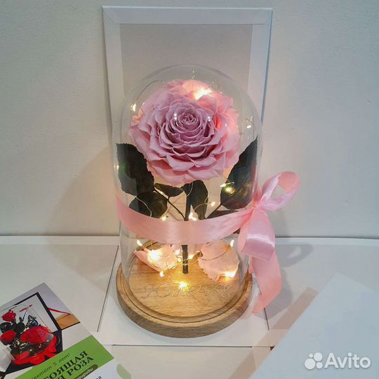 Роза в колбе