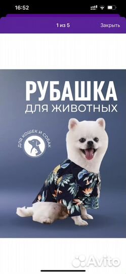 Рубашка собаке/кошке