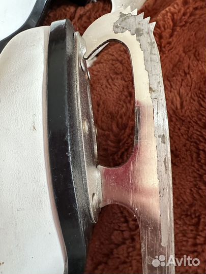 Коньки фигурные Graf Montana